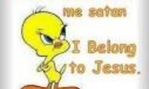 Die roem van Rom.8 : Die lewe deur die  Heilige Gees. 